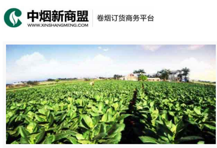 中烟新商盟卷烟订货商务平台-永盈彩票登录